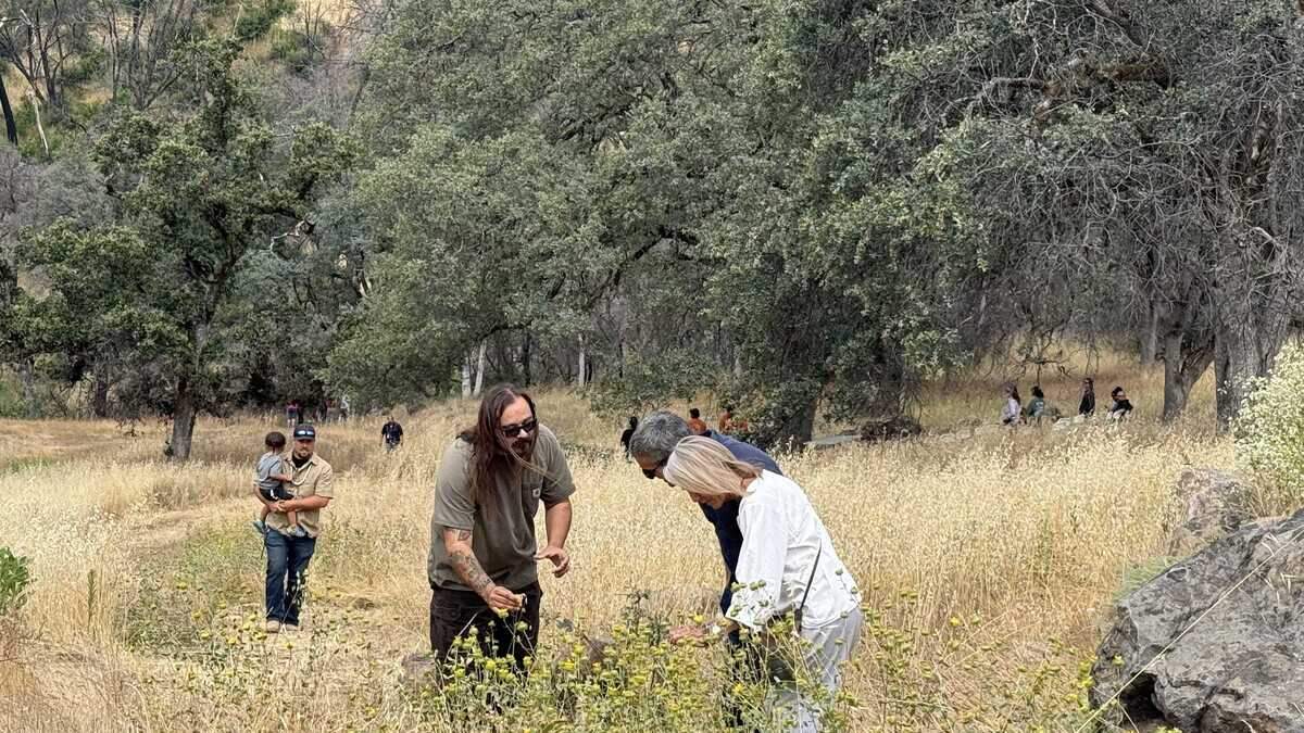 Mechoopda Tribe Treasurer He-Lo Ramirez, alongside California Natural Resources Agency Secretary Wade Crowfoot, highlights the regrowth of native plants after the Park Fire during a land return celebration on June 8, 2026.